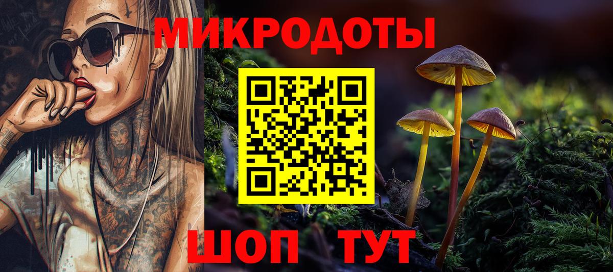 Галлюциногенные грибы мухоморы Архангельск